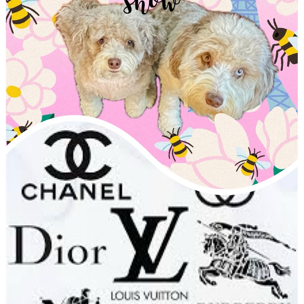 Live Show Notifications - image 1